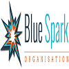 UK Jobs Blue Spark Organisation Ltd